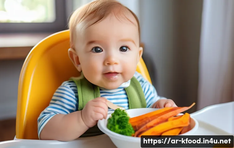 한식 아기 이유식 레시피 관련 이미지 1